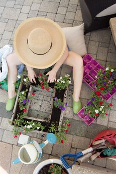 Woman gardener sitting on her brick patio in a wide brimmed straw sunhat transplanting nursery seedlings from trays into a large flowerpot to beautify her house in spring, view from above