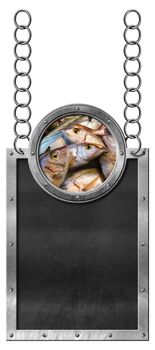 Empty blackboard with metallic frame and fresh fishes. Hanging from a chain and isolated on white background