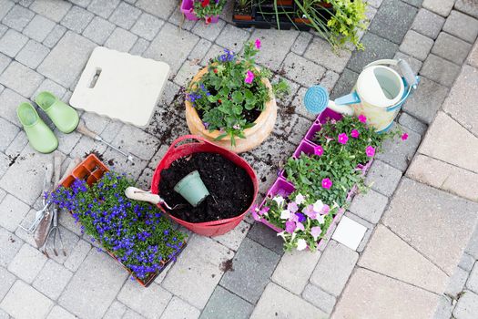 Nursery seedlings, potting soil and flowerpots with newly planted flowers standing on a brick patio with trays of plants waiting to be transplanted in a gardening and home enhancement concept