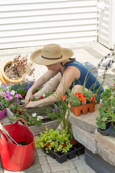 Attractive woman potting up nursery seedlings into decorative arrangements in flowerpots to enhance her home and patio on a hot spring day