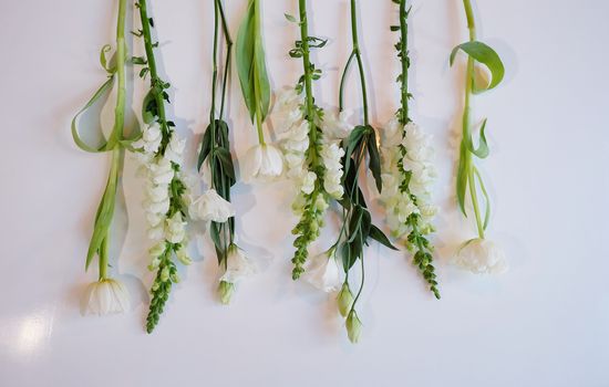 Assorment of white and green flowers laid out in a row on a white surface