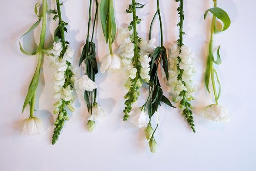 Assorment of white and green flowers laid out in a row on a white surface