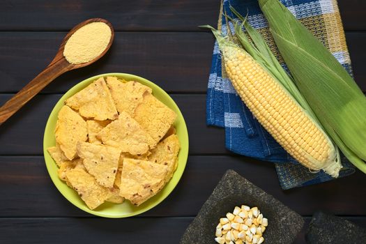 Overhead shot of homemade baked corn chips on plate with cornmeal, corn cobs and corn kernels in mortar, photographed on dark wood with natural light