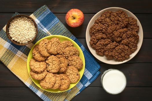 Overhead shot of chocolate and apple oatmeal cookies on plates with an apple, a glass of milk and a bowl of raw oatmeal, photographed on dark wood with natural light