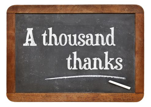 A thousand thanks. Text on a vintage slate blackboard