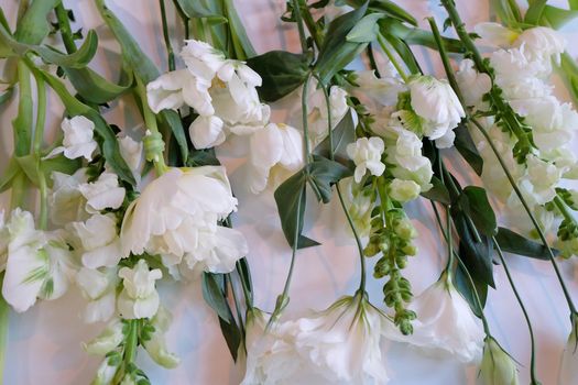 Assorment of white and green flowers laid out in a row on a white surface