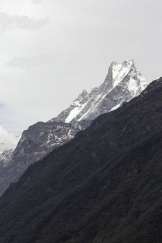 Fish Tail or Mt.Machhapuchhare in Annapurna Trekking Trail in Nepal.