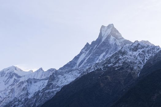 Fish Tail or Mt.Machhapuchhare in Annapurna Trekking Trail in Nepal.