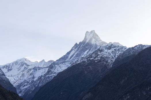 Fish Tail or Mt.Machhapuchhare in Annapurna Trekking Trail in Nepal.
