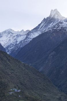 Fish Tail or Mt.Machhapuchhare in Annapurna Trekking Trail in Nepal. Lower is the Sinuwa village which is one of the village in this trail.