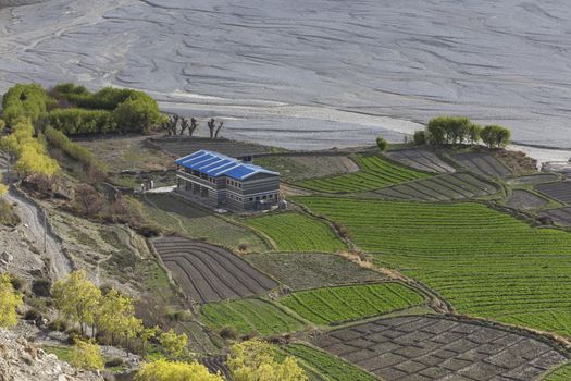 Kagbeni city in lower Mustang district, Nepal. It located in dry area and situated in the junction to upper Mustang.