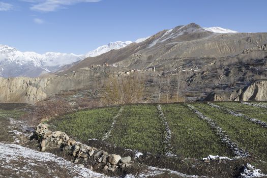 Landscape of Muktinath village in lower Mustang District, Nepal. This photo was shot in early morning.
Area was cover by snow.