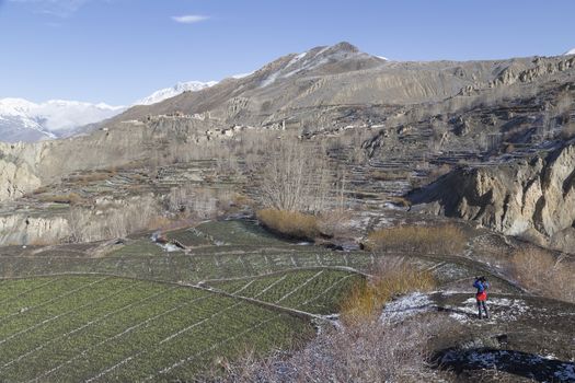 Landscape of Muktinath village in lower Mustang District, Nepal. This photo was shot in early morning.
Area was cover by snow.