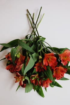 Cut orange and green Peruvian Lily bouquet laying on a white surface 