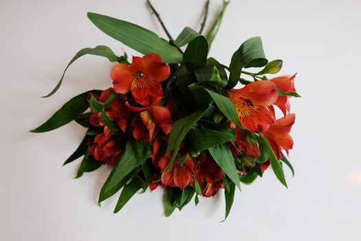 Cut orange and green Peruvian Lily bouquet laying on a white surface