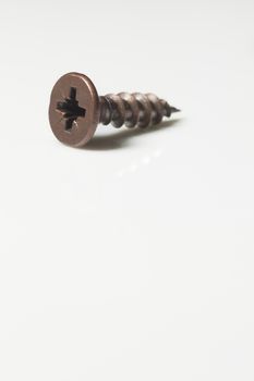Screw on white background - industrial concept