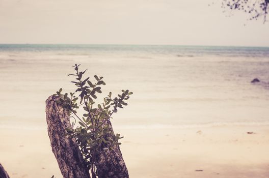 Beach sand and blue sea in Thailand vintage