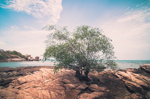 Beach tree rock and blue sea in Thailand vintage