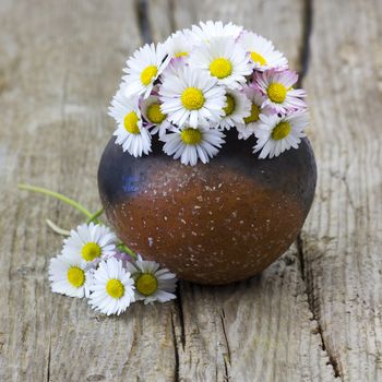 daisies in a vase on old wooden background