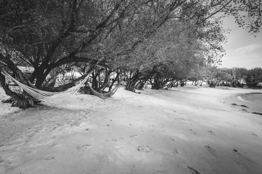 Beach tree sand and blue sea in Thailand vintage