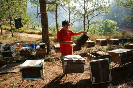 DA LAT, VIET NAM- MAY 3: Asia farmer with beekeeping, Vietnamese beekeeper take  beehive among jungle, honey is nutrition eating, bee working at bee nest in bee tank, Dalat, Vietnam, May 3, 2015