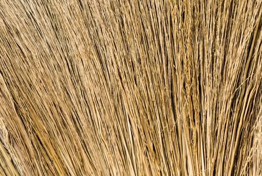 Closeup Hair Brown Broom