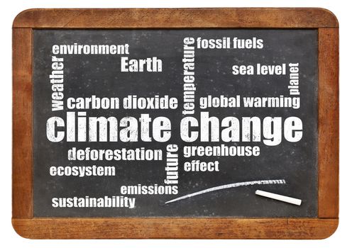 climate change word cloud on a vintage slate blackboard isolated  on white