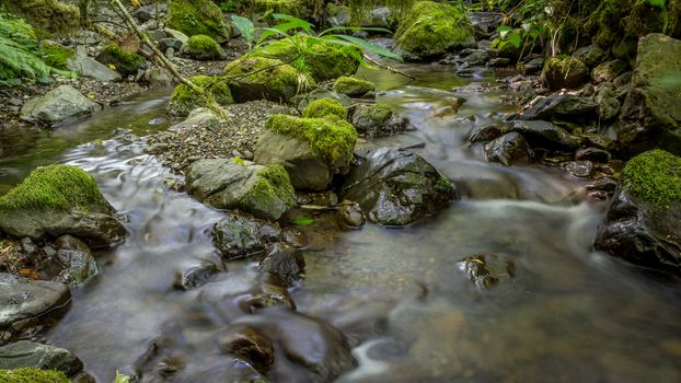 A small creek flowing. Long-exposure, color image.