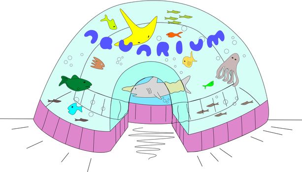 A large oval aquarium full of different aquatic life.