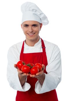 Chef holding organic tomatoes on white isolated background