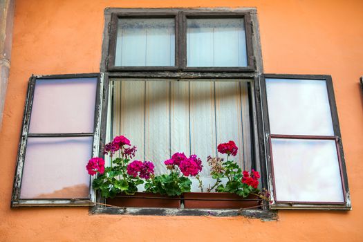 Sighisoara, Romania - June 23, 2013: Pink facade with windows and flowers from Sighisoara city old center, Transylvania, Romania