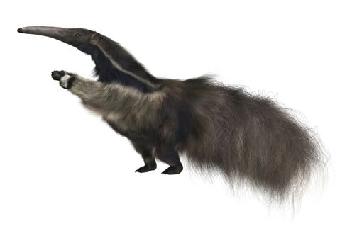 3D digital render of a giant anteater isolated on white background