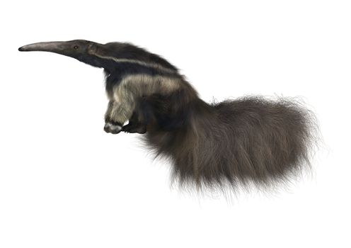 3D digital render of a giant anteater isolated on white background