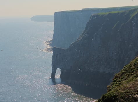An image of bempton Cliffs, a nature reserve on the beautiful Yorkshire coast.