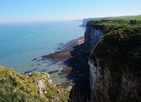 An image from Bempton Cliffs, a nature reserve on the beautiful Yorkshire coast.