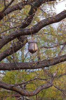 The wooden acorn hanging on the tree