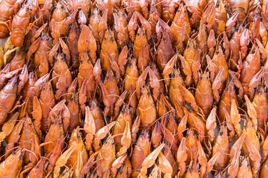 Photo of background with red boiled crawfishes