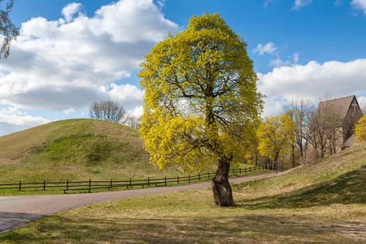 Swedish rural landscape. Country road in meadow.