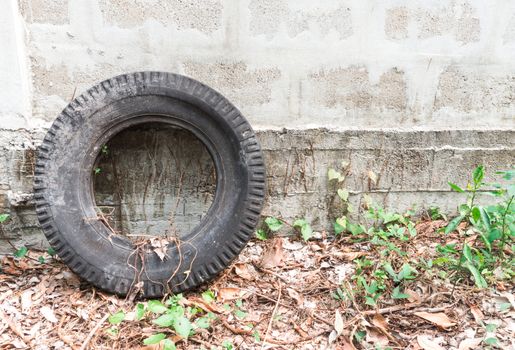 Old Tire Laying on a Wall in the Abandoned Garden