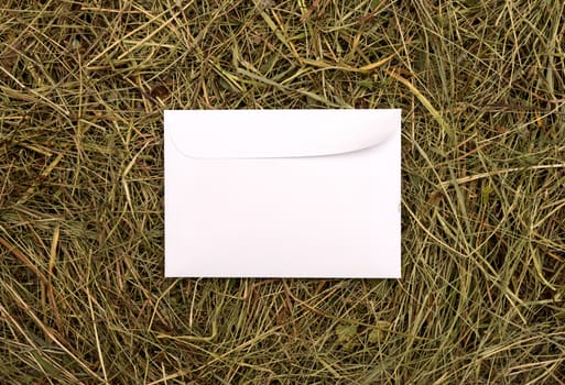 white envelope on a background of hay