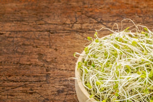 broccoli and clover sprouts in a wooden bowl against rustic scratched wood with a copy space