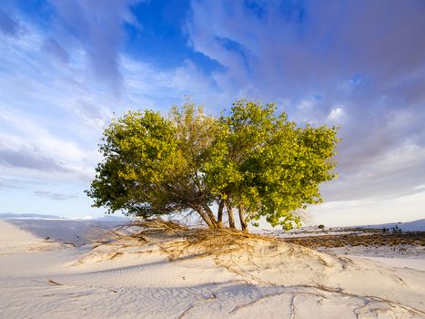 White Sands National Monument, NM