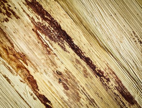 abstract background or texture extruded corn husk