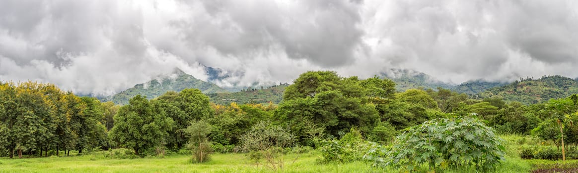 Moving clouds covering the Uluguru Mountains in the city of Morogoro, Eastern Region of Tanzania, Africa.