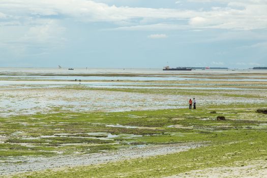 The beautiful shores of the business capital of Tanzania, Dar Es Salaam, along the Indian Ocean