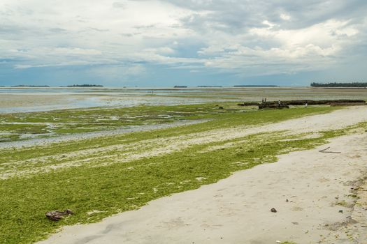 The beautiful shores of the business capital of Tanzania, Dar Es Salaam, along the Indian Ocean