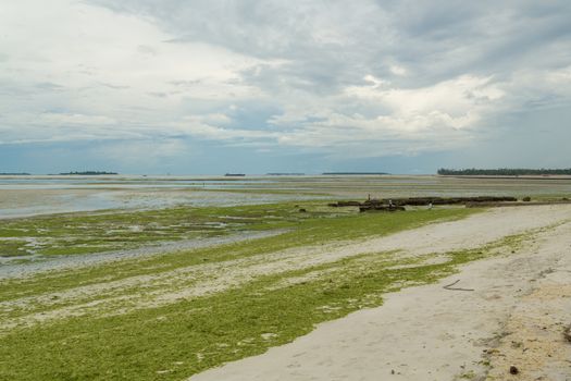 The beautiful shores of the business capital of Tanzania, Dar Es Salaam, along the Indian Ocean