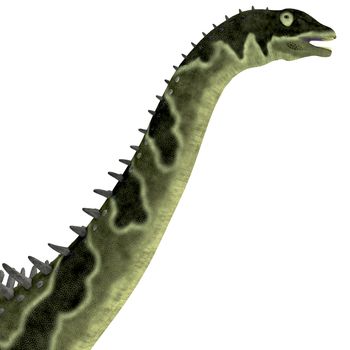 Agustinia was a herbivorous titanosaur dinosaur that lived in the Cretaceous Period of South America.