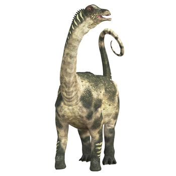 Antarctosaurus was a titanosaur sauropod that lived in South America in the Cretaceous Period.