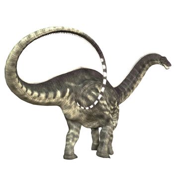 Apatosaurus, also called Brontosaurus, was a titanosaur sauropod that lived in the Jurassic Period of North America.  